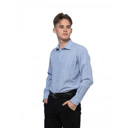 Рубашка подр-ая Imperator W5050-П фото 3