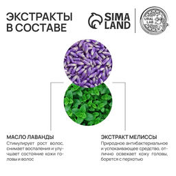 Шампунь для волос с экстрактом мелиссы, защита, питание и рост, 410 мл, URAL LAB