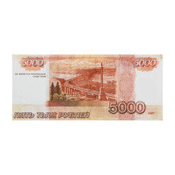 Цена за 2 шт. Пачка купюр для выкупа «5000», 80 шт.