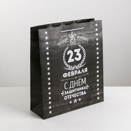 Цена за 2 шт. Пакет подарочный ламинированный, упаковка, С 23 февраля, MS 18?23?10 см