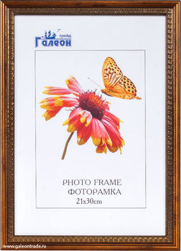 Фоторамка 21x30 / ZR5442-1564 /уп10