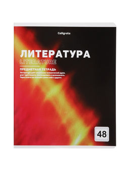 Тетради предметные 12 шт. 48 листов, справочная информация, 60 г