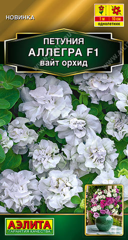 Петуния Аллегра F1 вайт орхид полумахровая