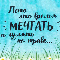 Цена за 2 шт. Полотенце кухонное Доляна Лето 35?60 см, 100% хл, 160 г/м?