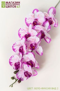 004 Орхидея фаленопсис "Жозель" (9 цветков)