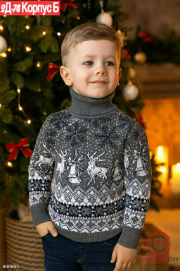 водолазки для мальчика с рисунком - Bruno фото 5