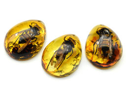 Кулон из янтаря искусственного капля 43*55мм Овод, цв.медовый