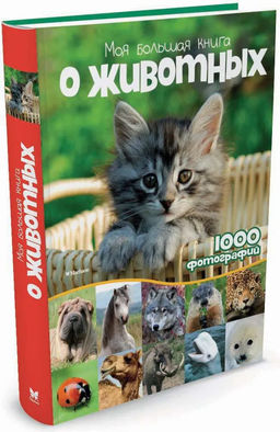 Моя большая книга о животных - Махаон фото 2