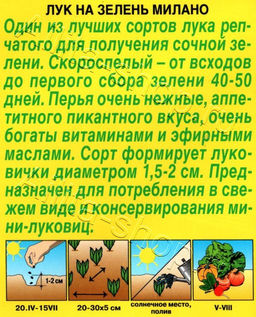 Лук на зелень Милано 0,5г (Аэлита)