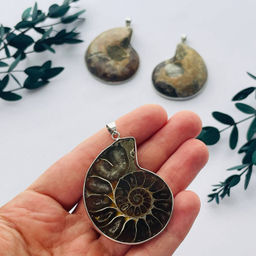 Кулон Аммонит