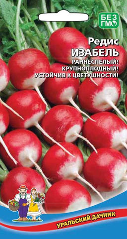 Редис ИЗАБЕЛЬ  Очень вкусный, яркий, крупноплодный сорт! Хвостики тонкие, листва компактная, а плод массой до 30 г! Мякоть белоснежная, сочная, плотная и хрустящая!