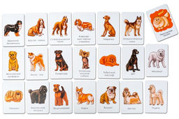 Набор карточек Породы собак. Часть 2 - Smiledecor фото 2