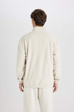 Флисовый свитшот с принтом и воротником-стойкой Comfort Regular Fit - Defacto фото 6