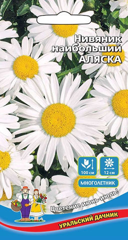 Нивяник наибольший АЛЯСКА