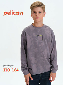 PELICAN, джемпер для мальчиков, Серый