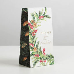 Цена за 10 шт. Пакет без ручек новогодний «Время волшебства», 10×19.5×7 см