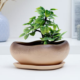 Горшок Бонсай малый для кактусов и суккулентов, бежевый, 17х14х8см