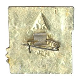 Значок Владимир