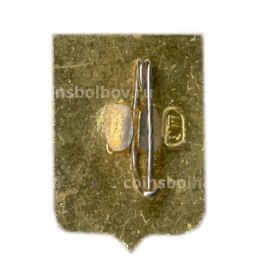 Значок Владимир