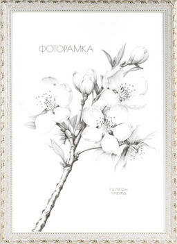 Фоторамка 20х25 / 10201-5 /уп10