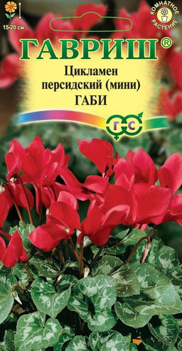 Цикламен Габи персидский 3 шт (г)