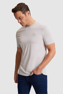 Erkek A__k Gri Regular Fit Bisiklet Yaka Ti__rt