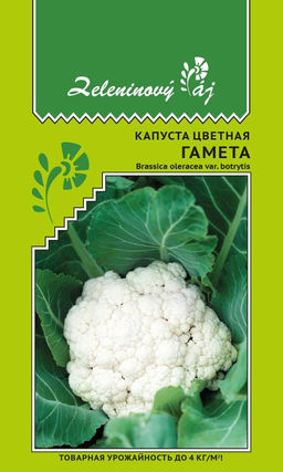 Капуста цветная ГАМЕТА  Товарная урожайность  до 4 кг/м.кв!