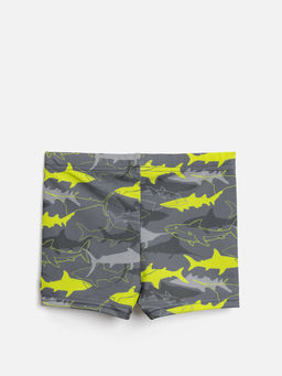 ACOOLA / Трусы купальные детские для мальчиков Orlando хаки принт  фото 2