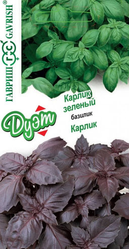 Базилик Карлик 0,1г + Карлик зеленый 0,1г (Гавриш)