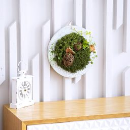 Blumentag BRW-3 Набор природных материалов 01  фото 4