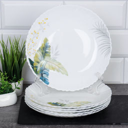 Набор тарелок 6 штук 220 мм / LHP-85 (7166) Папоротник - Галеонтрейд фото 2