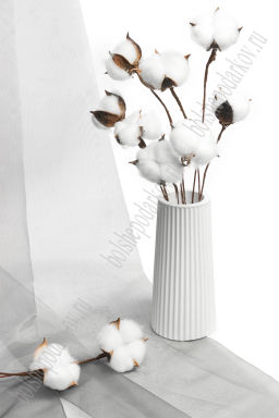 Веточки 30 см; 10 шт Хлопок (SF-1909) белый - Больше подарков фото 2