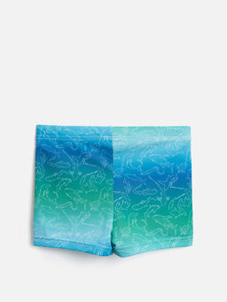 ACOOLA / Трусы купальные детские для мальчиков Orlando зеленый  фото 2