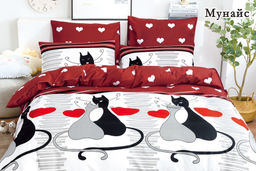 КПБ Alanna Мунайс AB Поплин ALAMU005 2 спальный