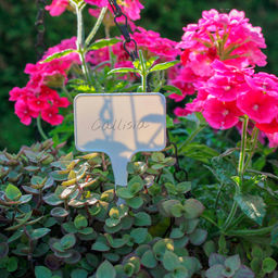 Табличка садовая для маркировки растений 5,5х3,5х15см, полипропилен, белый, набор 10шт (Беларусь) - Домашняя Мода фото 2