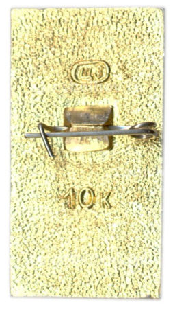 Значок Звенигород