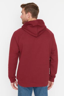 TRENDYOL MAN Gri Regular/Normal Kesim Kapusonlu Ici Polar/S?cak Tutan Sweatshirt TMNAW23SW00194 - Trendyolmilla фото 25