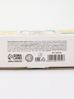 Бомбочки для ванны в домике «Медведь», набор 6 шт х 40 г, URAL LAB