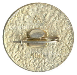 Значок Владимир