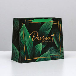 Цена за 2 шт. Пакет подарочный ламинированный, упаковка, Present for you, ML 27?23?11.5 см