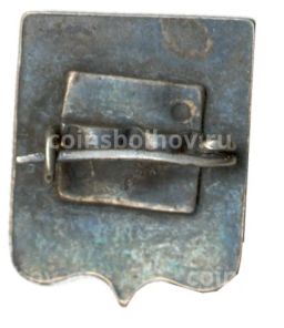 Значок Кострома