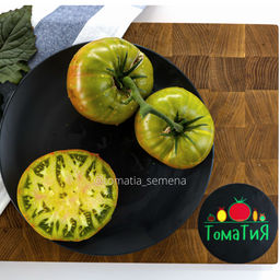 Абсент - Tomatia фото 2