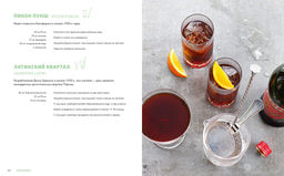 Практическая миксология. Девайсы. Техники. Ингредиенты. Кастеллон Ф. - Колибри фото 4