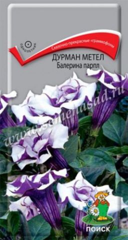 Дурман (обыкновенный) метел Балерина парпл (ЦВ ) (1) 3шт.