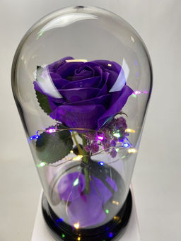 Подарок колба светящаяся Розы - Family фото 3