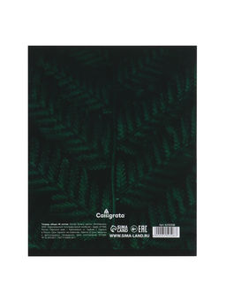 Набор тетрадей, 48 листов в клетку, Calligrata «Изумруд», серые листы, 5 штук