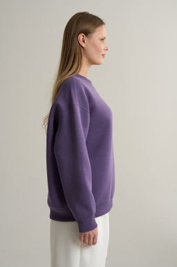 Свитшот Темно-сиреневый ANTA SKATE Sweatshirt  фото 3