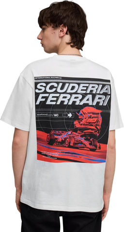 Футболка мужская