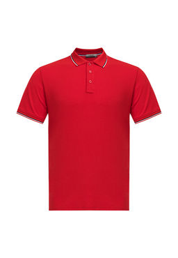 Джемпер мужской с воротником поло короткий рукав GREG G144-TS-3 (красный)  фото 7