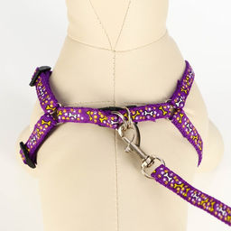 Комплект Звёздные косточки, поводок 120 х 1 см, ОГ 23-35 см, фиолетовый - Пижон фото 4